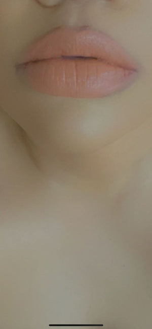 copy-of-matte-lip-stick11 - bentleybeautylounge