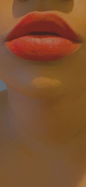 copy-of-matte-lip-stick11 - bentleybeautylounge