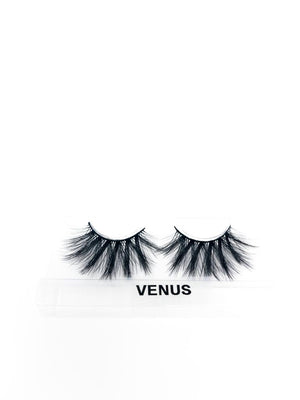 venus - bentleybeautylounge